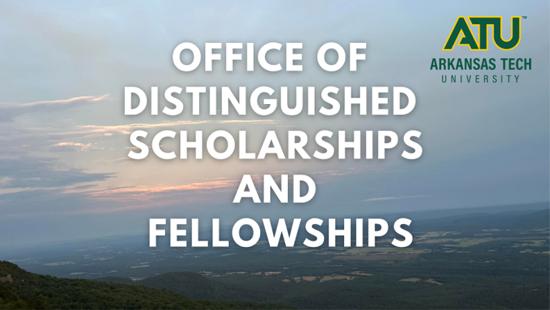 Distinguished Scholarships Load Image