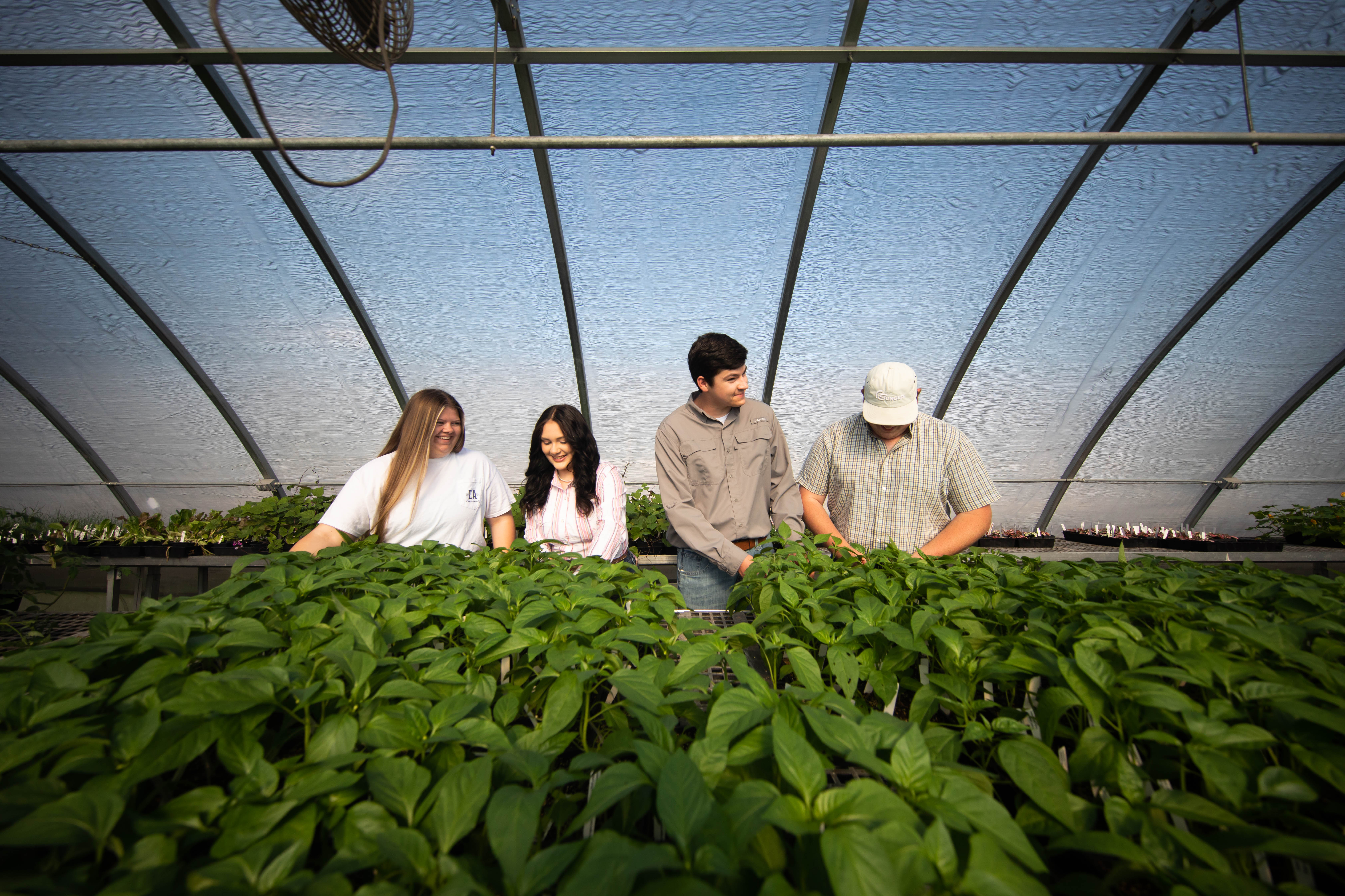 Agriculture