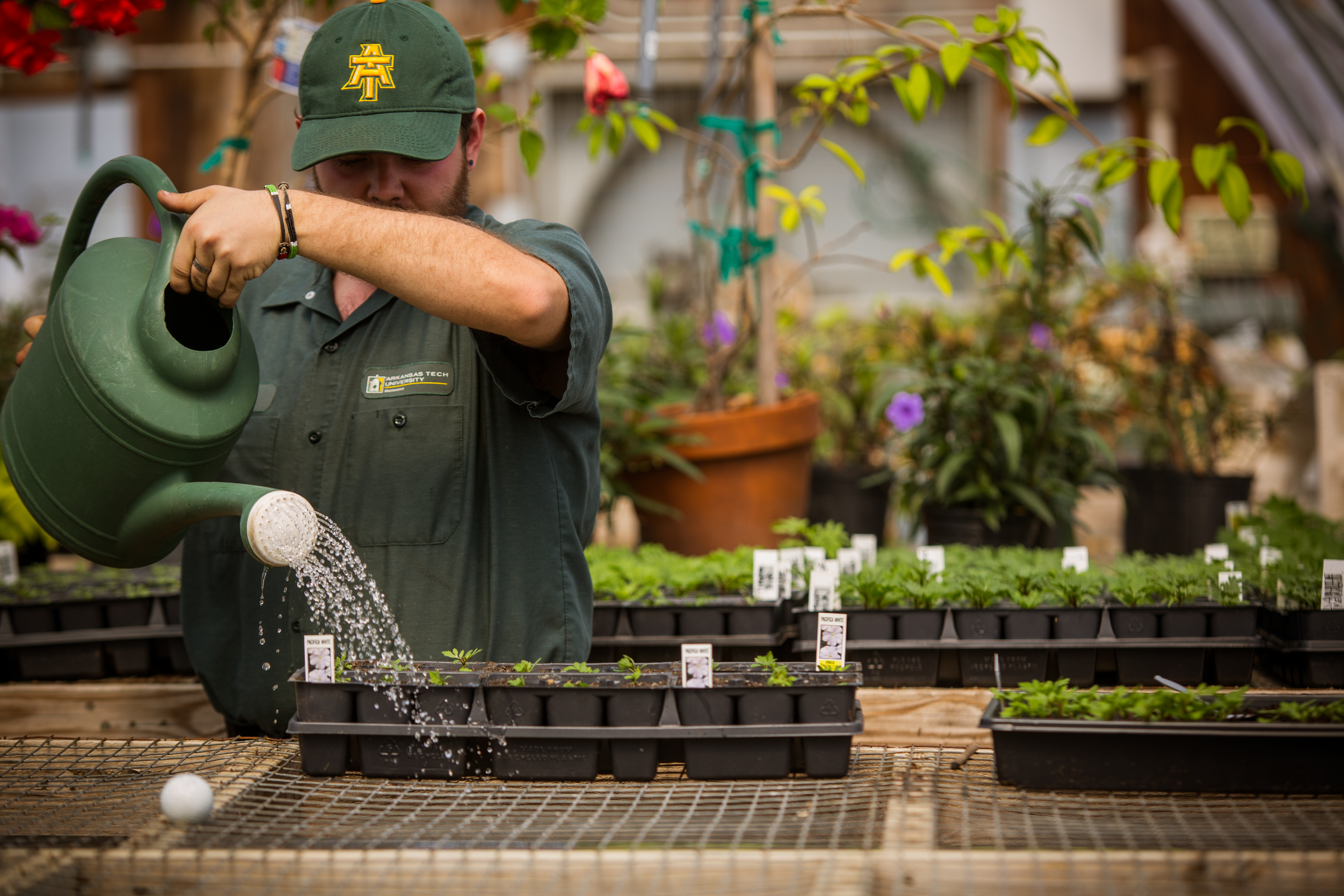 Horticulture