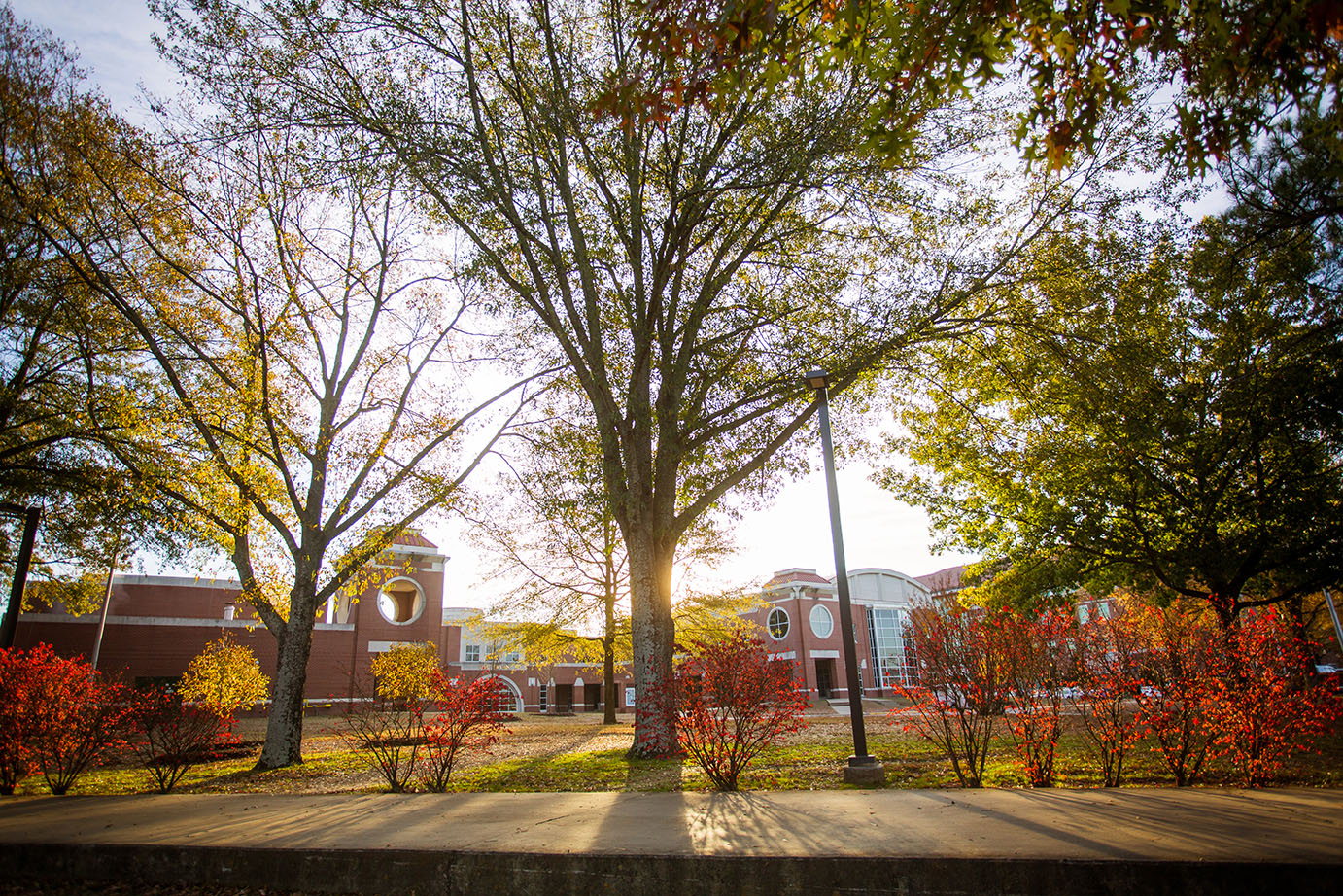 a photo of campus