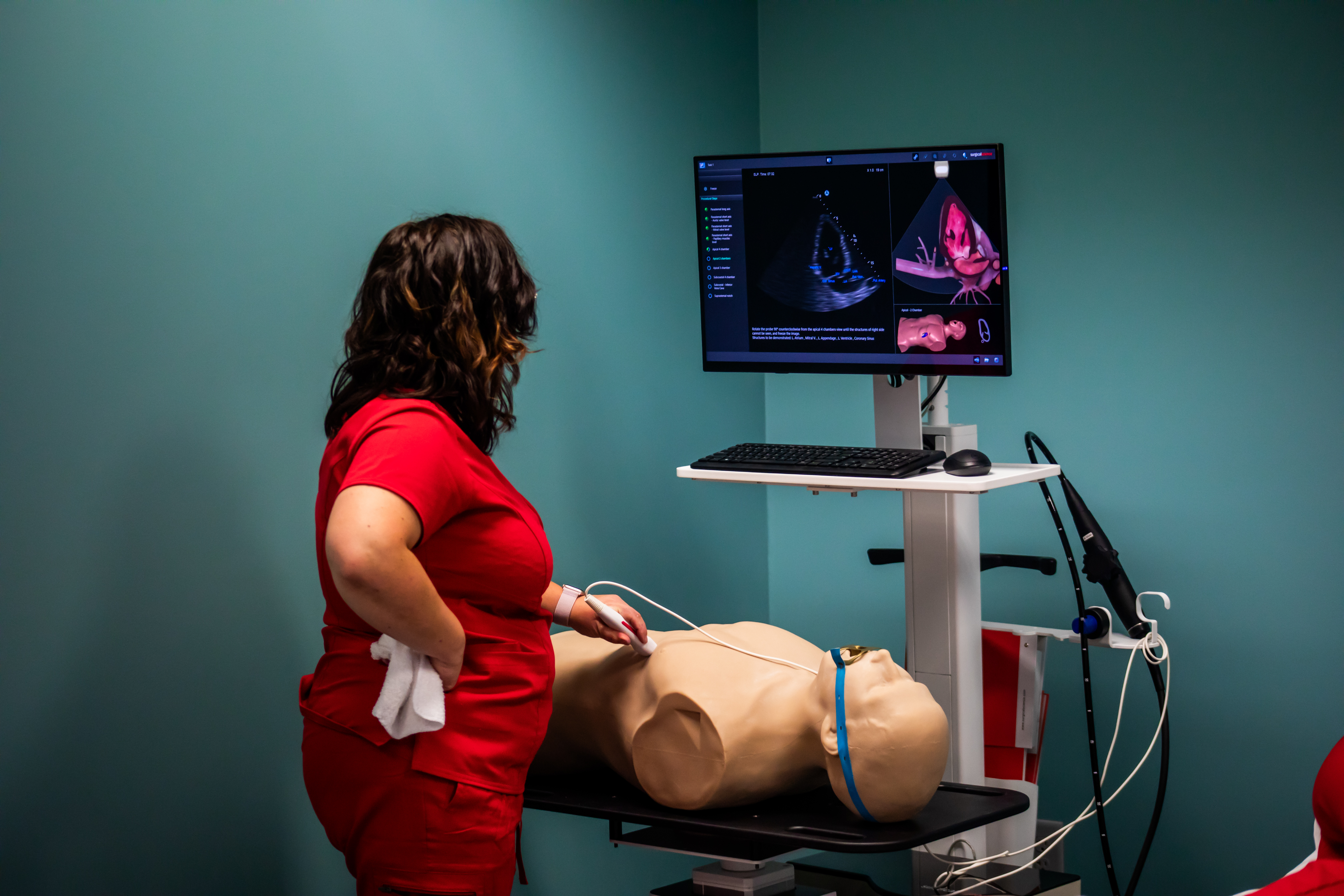 Cardiac Sonography