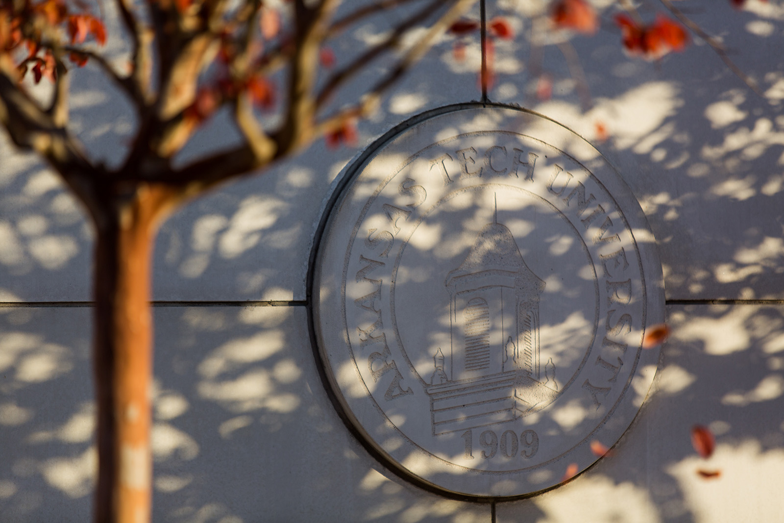 A tree frames the Arkansas Tech logo