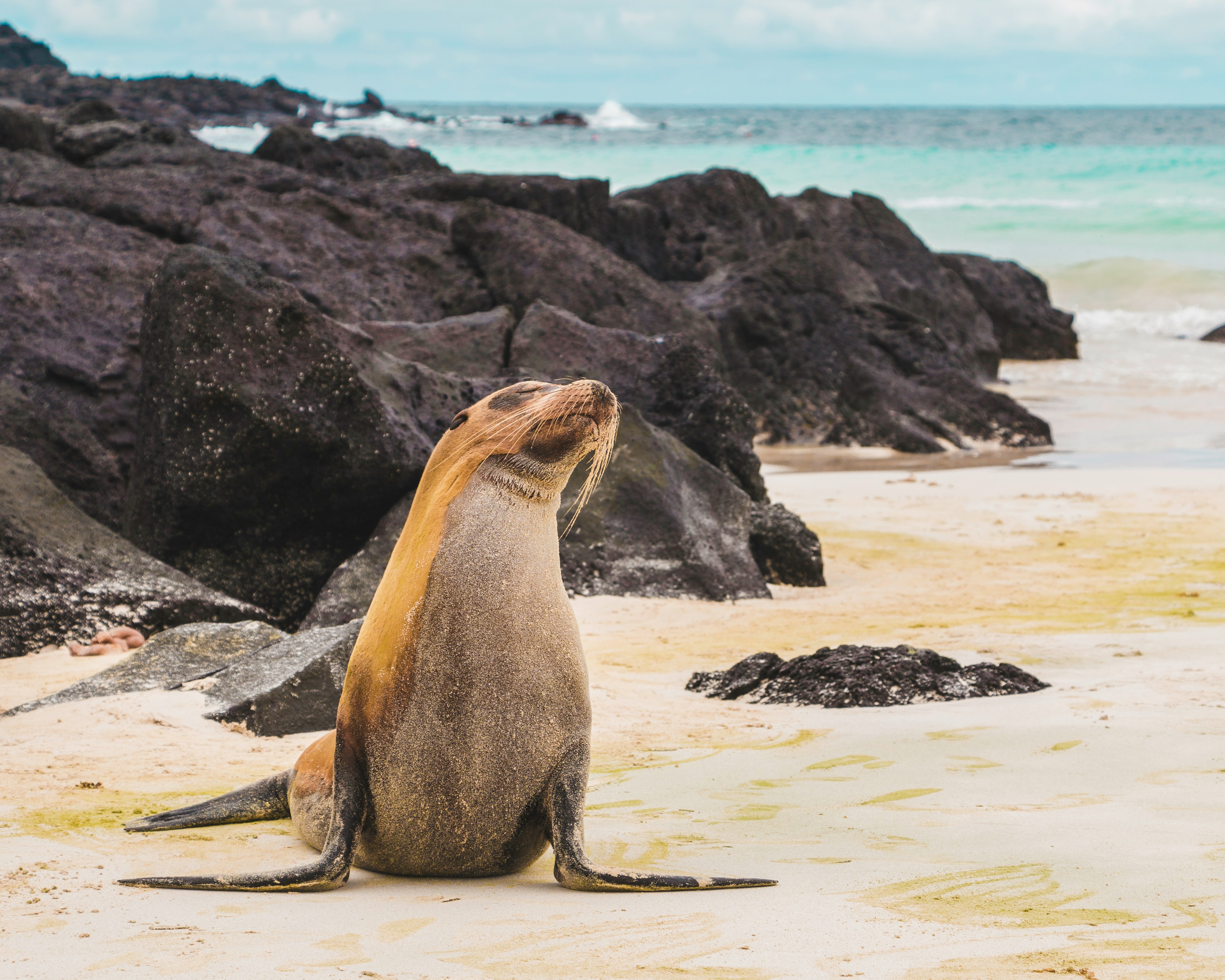 Ecuador and Galapagos Islands
