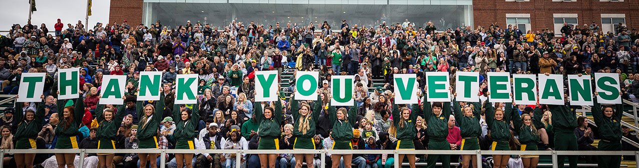 Crowd in the stands